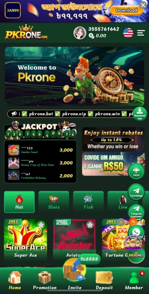 PKROne Game